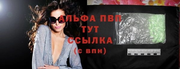 индика Киренск