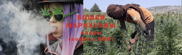 индика Киренск