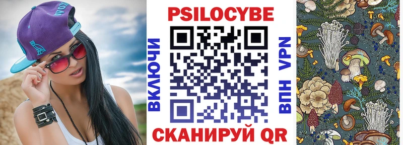 Галлюциногенные грибы Cubensis  Лесной 