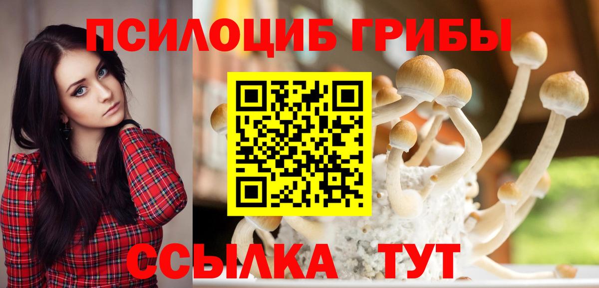 Галлюциногенные грибы Magic Shrooms Лесной
