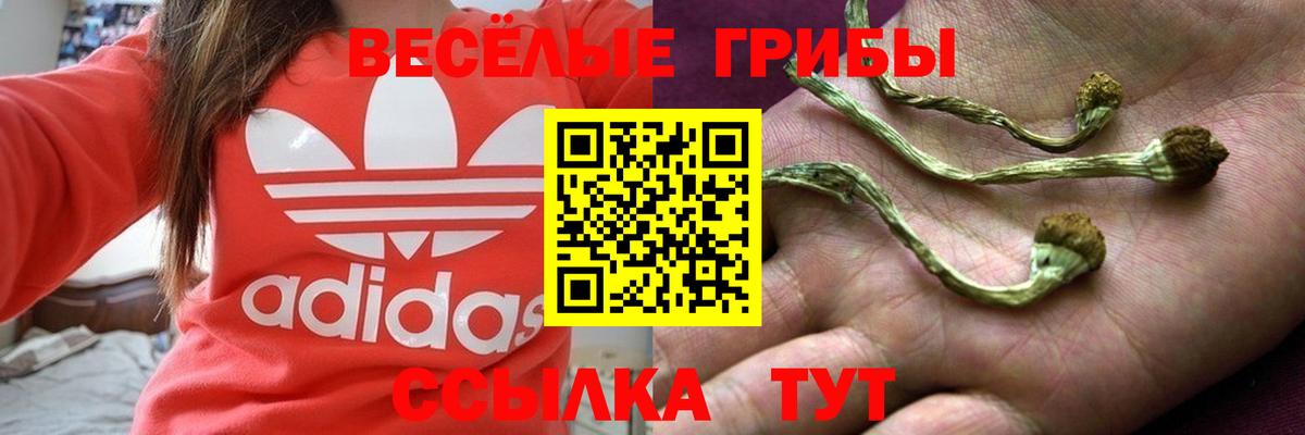 Лесной  Псилоцибиновые грибы ЛСД  Вход с VPN 