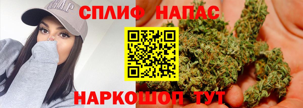 Конопля гибрид Лесной